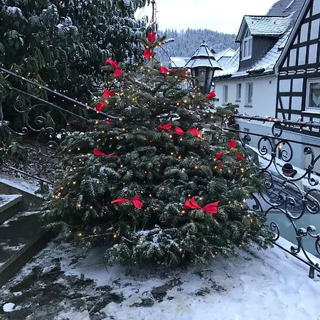 Apartment Haus Westfeld Schmallenberg