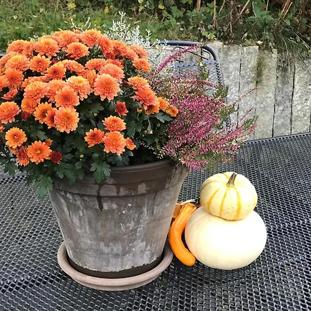 Haus Westfeld شقة