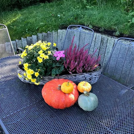 شقة Haus Westfeld