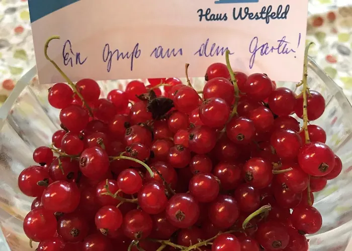 Haus Westfeld شقة