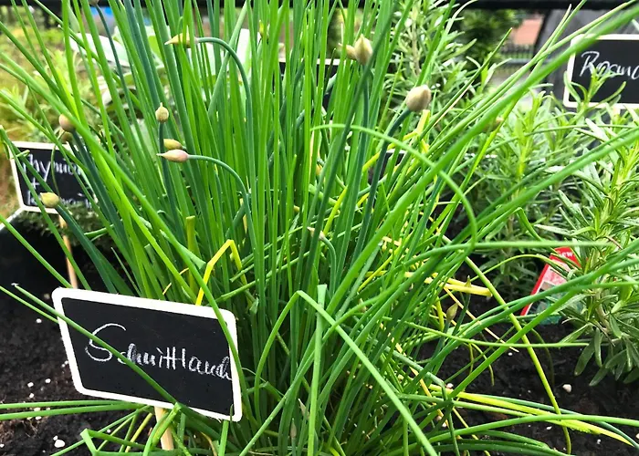 Haus Westfeld شقة *