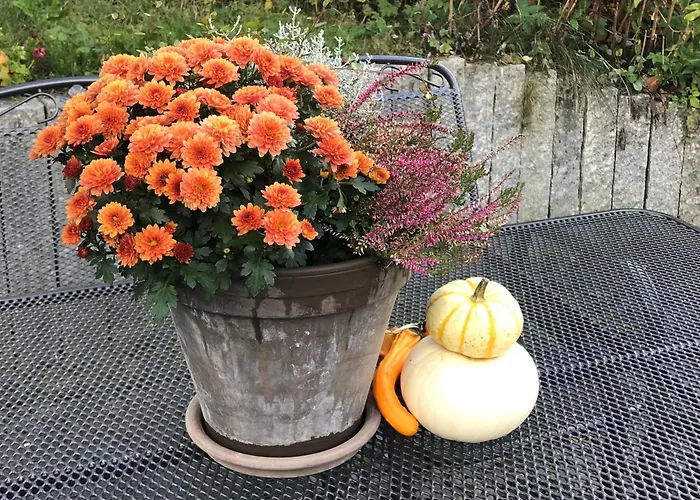 Haus Westfeld شقة